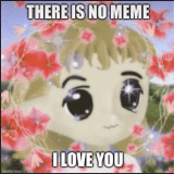 There is no meme 